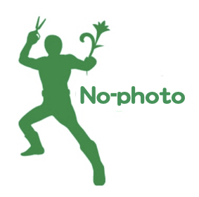 保谷駅 紹介予定派遣 ショップのお仕事です 花屋さんの求人情報 花屋専門の人材派遣 コパン